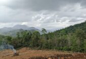දැරනියගල අක්කර3 1/4 ඉඩම විකිනීමට