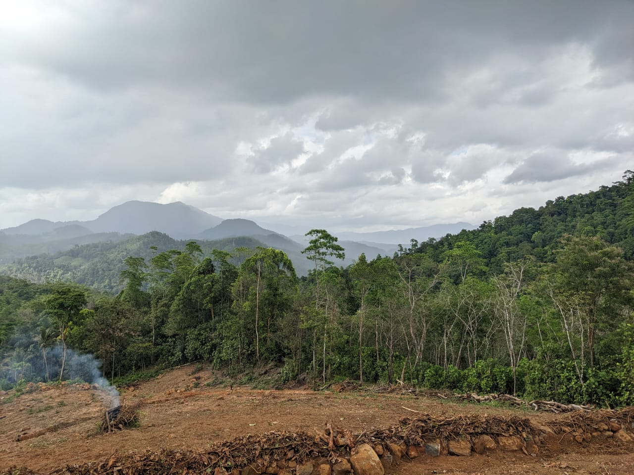 දැරනියගල අක්කර3 1/4 ඉඩම විකිනීමට