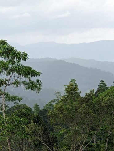 දැරනියගල අක්කර3 1/4 ඉඩම විකිනීමට