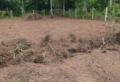කඩිගමුව ප්‍රදේශයේ ඉඩම විකිණීමට