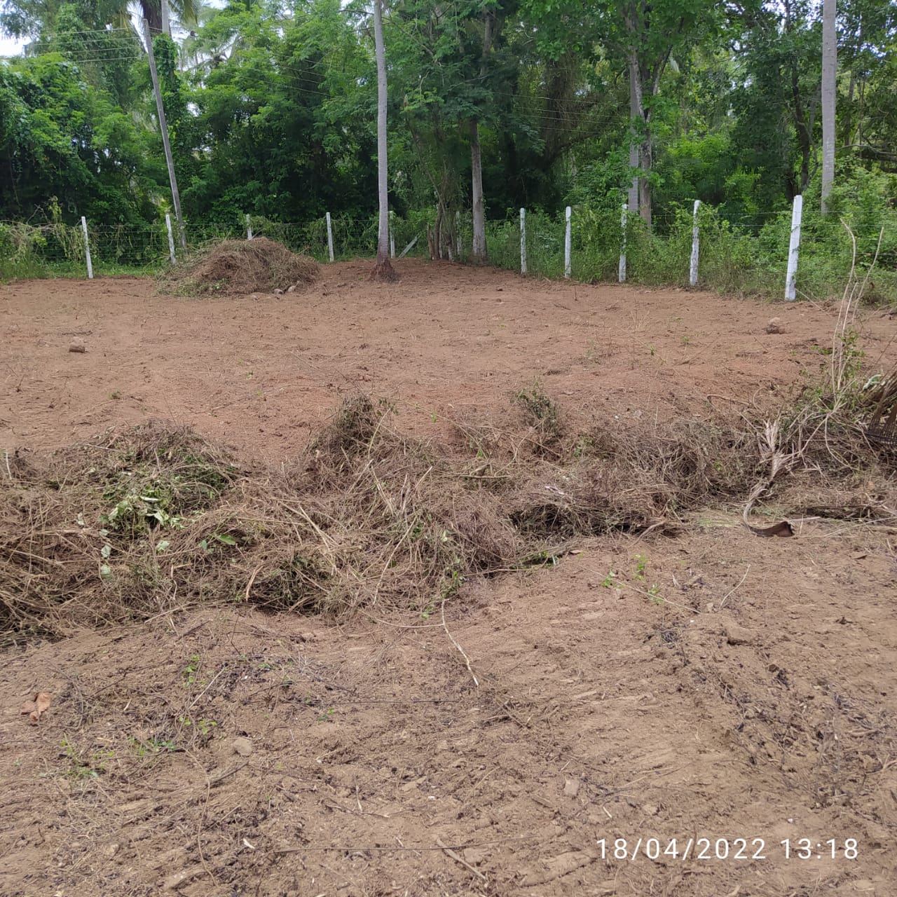 කඩිගමුව ප්‍රදේශයේ ඉඩම විකිණීමට