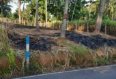Land for Sale Raddolugama