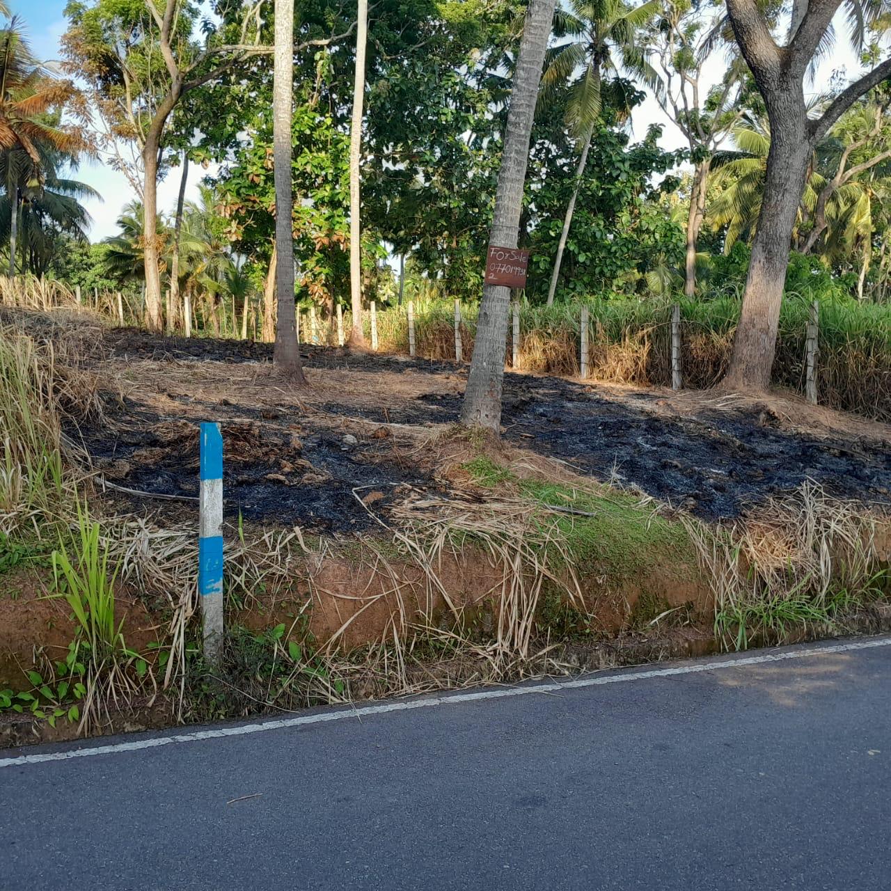 Land for Sale Raddolugama