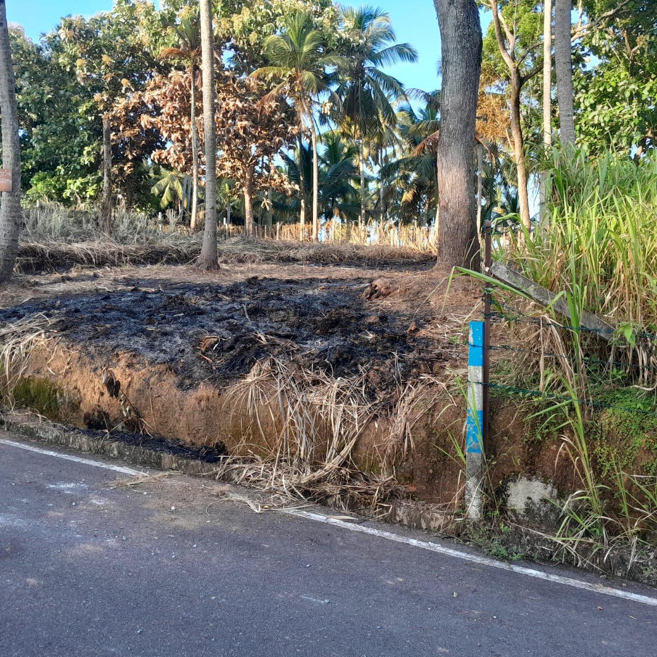 Land for Sale Raddolugama