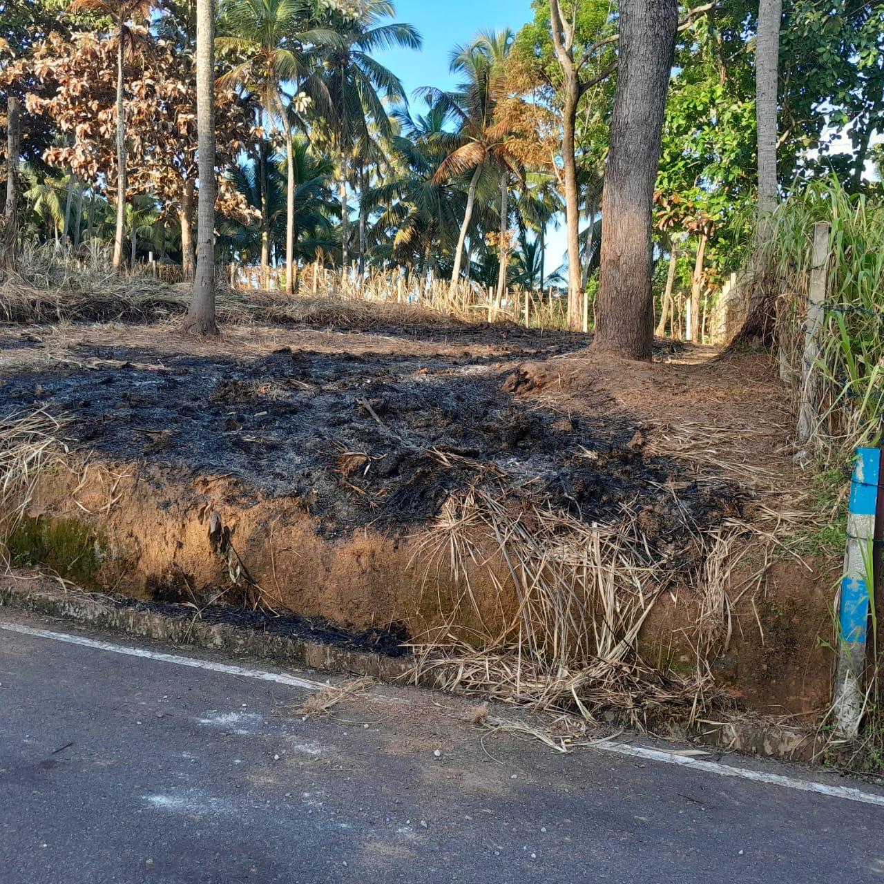 Land for Sale Raddolugama