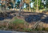 Land for Sale Raddolugama