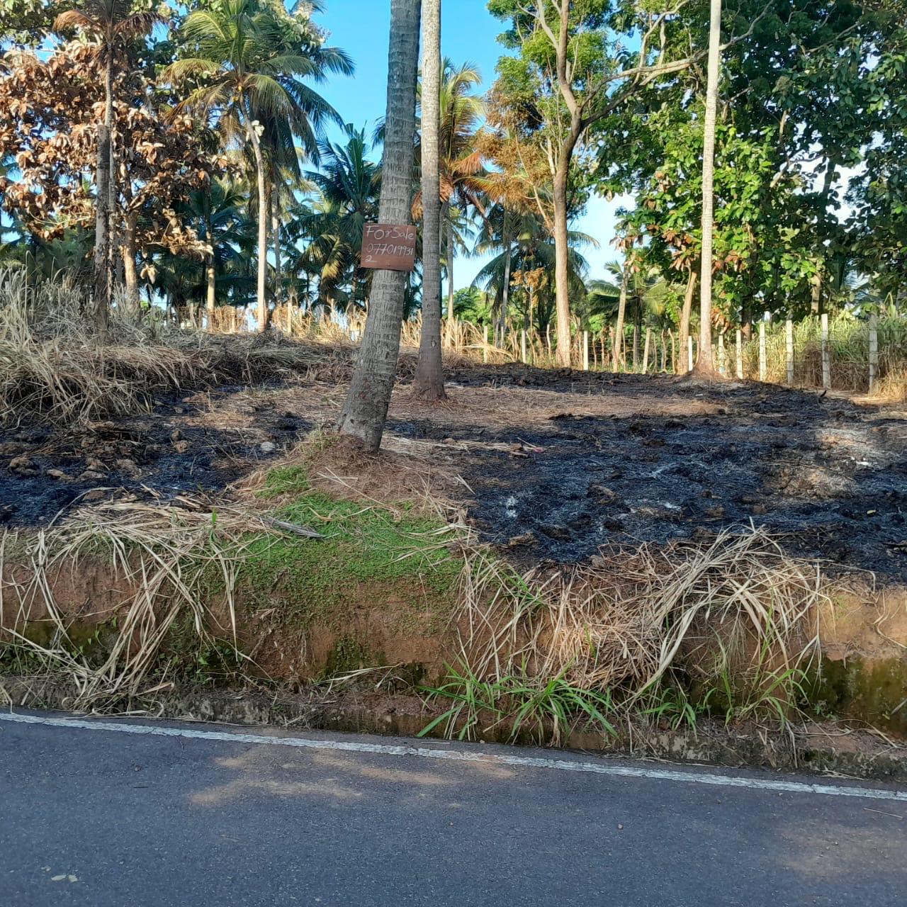 Land for Sale Raddolugama