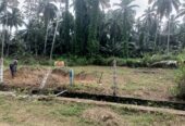 Land for Sale Negombo