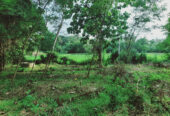 LAND FOR SALE IN WARIYAPOLA – PEACEFUL & SCENIC SURROUNDINGS