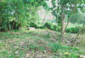 LAND FOR SALE IN WARIYAPOLA – PEACEFUL & SCENIC SURROUNDINGS