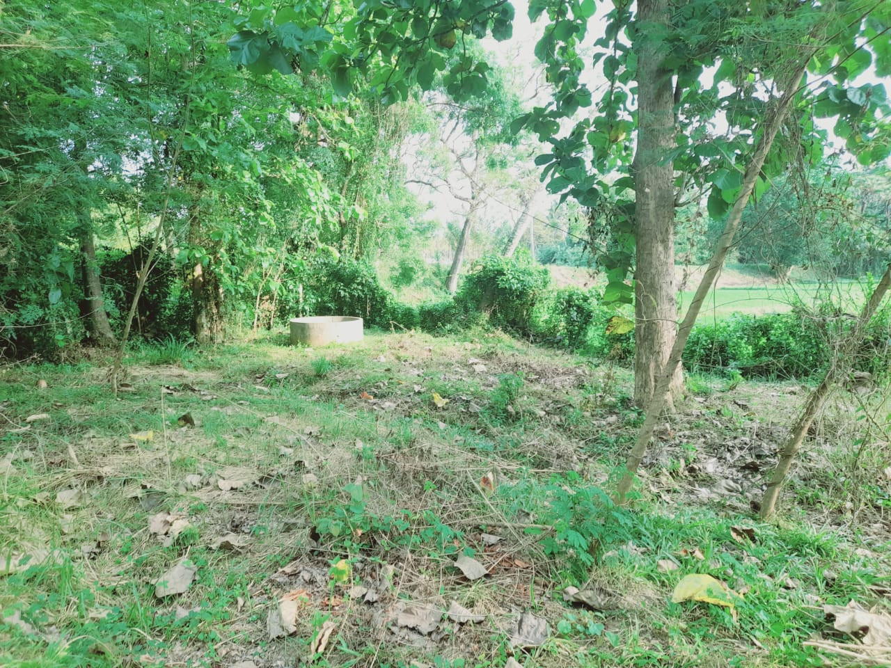 LAND FOR SALE IN WARIYAPOLA – PEACEFUL & SCENIC SURROUNDINGS