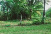 LAND FOR SALE IN WARIYAPOLA – PEACEFUL & SCENIC SURROUNDINGS