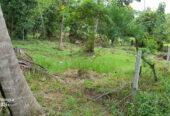 LAND FOR SALE IN WARIYAPOLA – PEACEFUL & SCENIC SURROUNDINGS