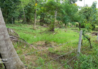 LAND FOR SALE IN WARIYAPOLA – PEACEFUL & SCENIC SURROUNDINGS