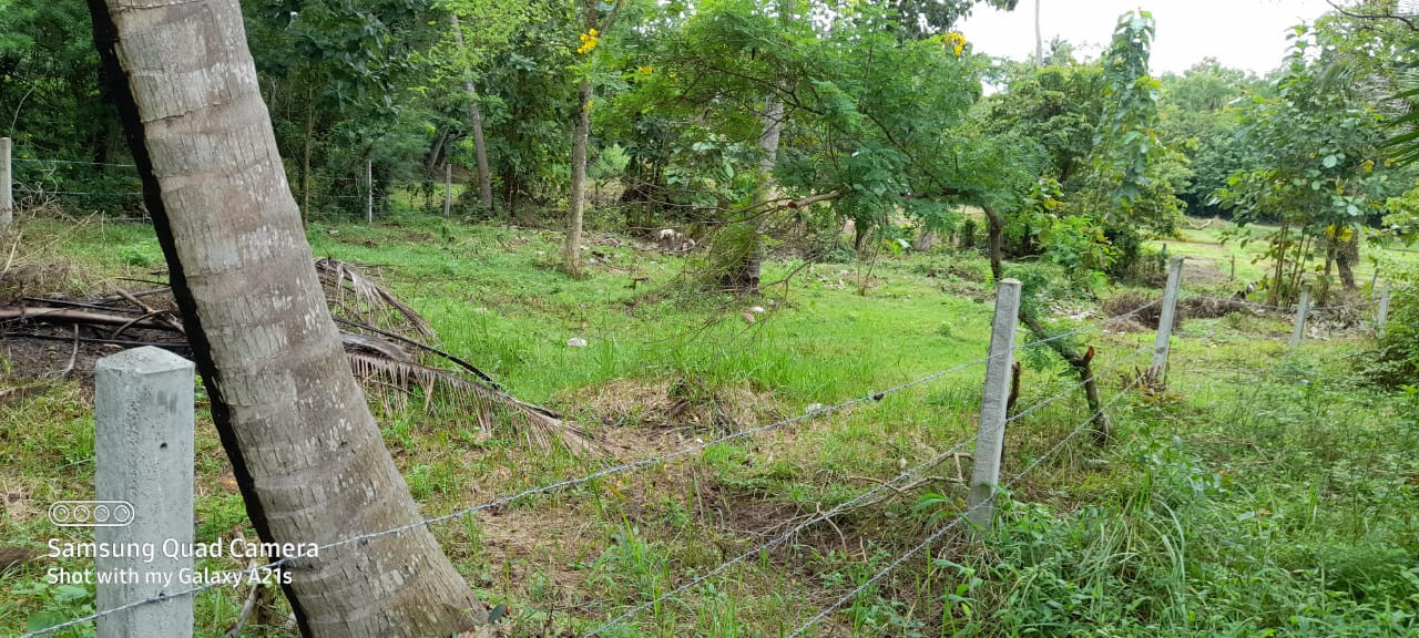 LAND FOR SALE IN WARIYAPOLA – PEACEFUL & SCENIC SURROUNDINGS