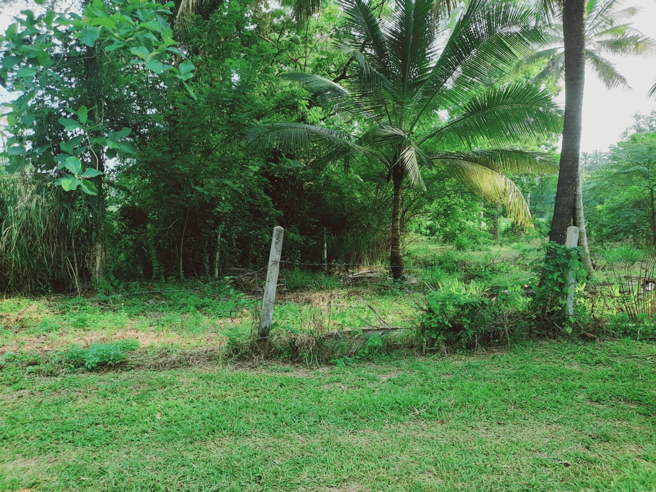 LAND FOR SALE IN WARIYAPOLA – PEACEFUL & SCENIC SURROUNDINGS