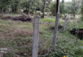 LAND FOR SALE IN WARIYAPOLA – PEACEFUL & SCENIC SURROUNDINGS