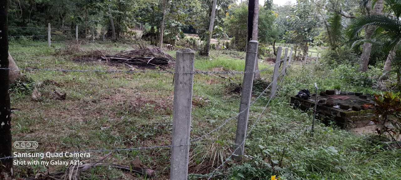 LAND FOR SALE IN WARIYAPOLA – PEACEFUL & SCENIC SURROUNDINGS
