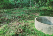 LAND FOR SALE IN WARIYAPOLA – PEACEFUL & SCENIC SURROUNDINGS