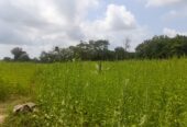 Land For Sale Puttalam