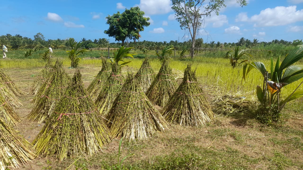 Land For Sale Puttalam