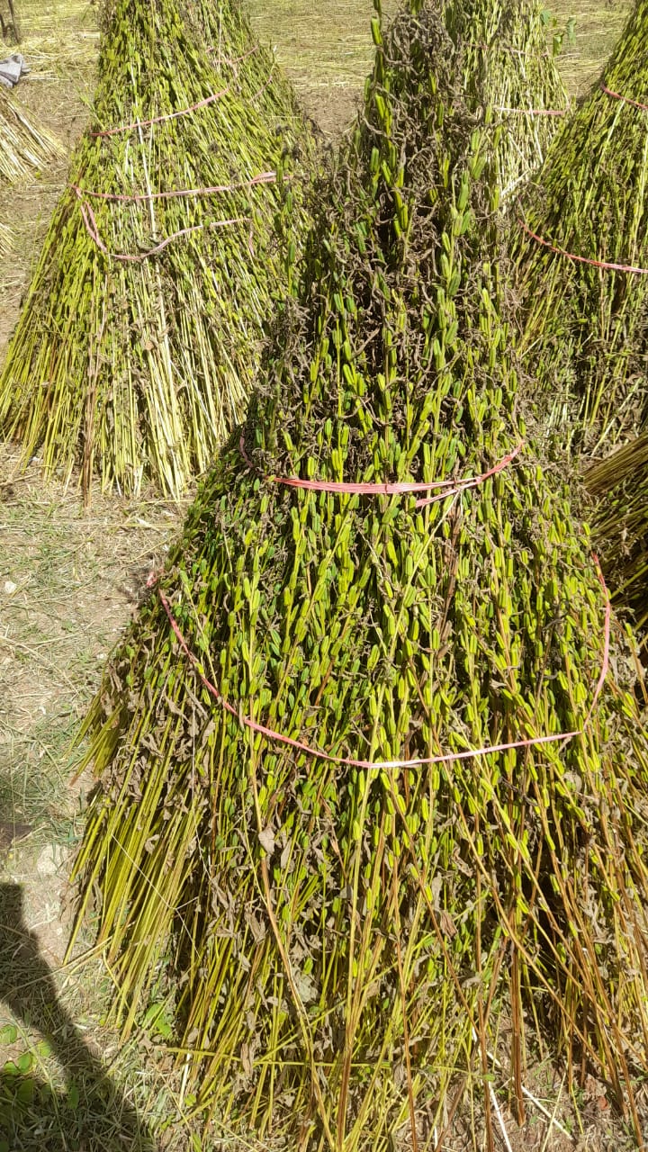 Land For Sale Puttalam