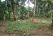 Land For Sale In Molagoda