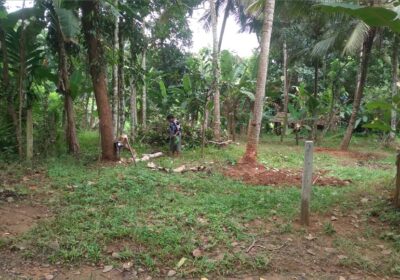 Land For Sale In Molagoda
