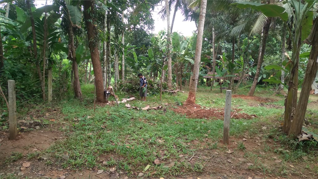 Land For Sale In Molagoda