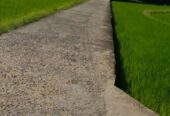 Land For Sale In Molagoda