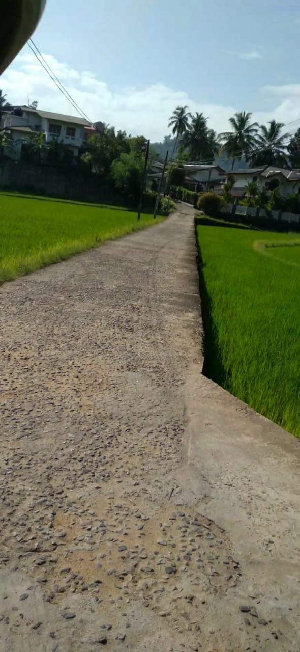 Land For Sale In Molagoda