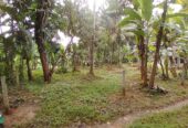 Land For Sale In Molagoda