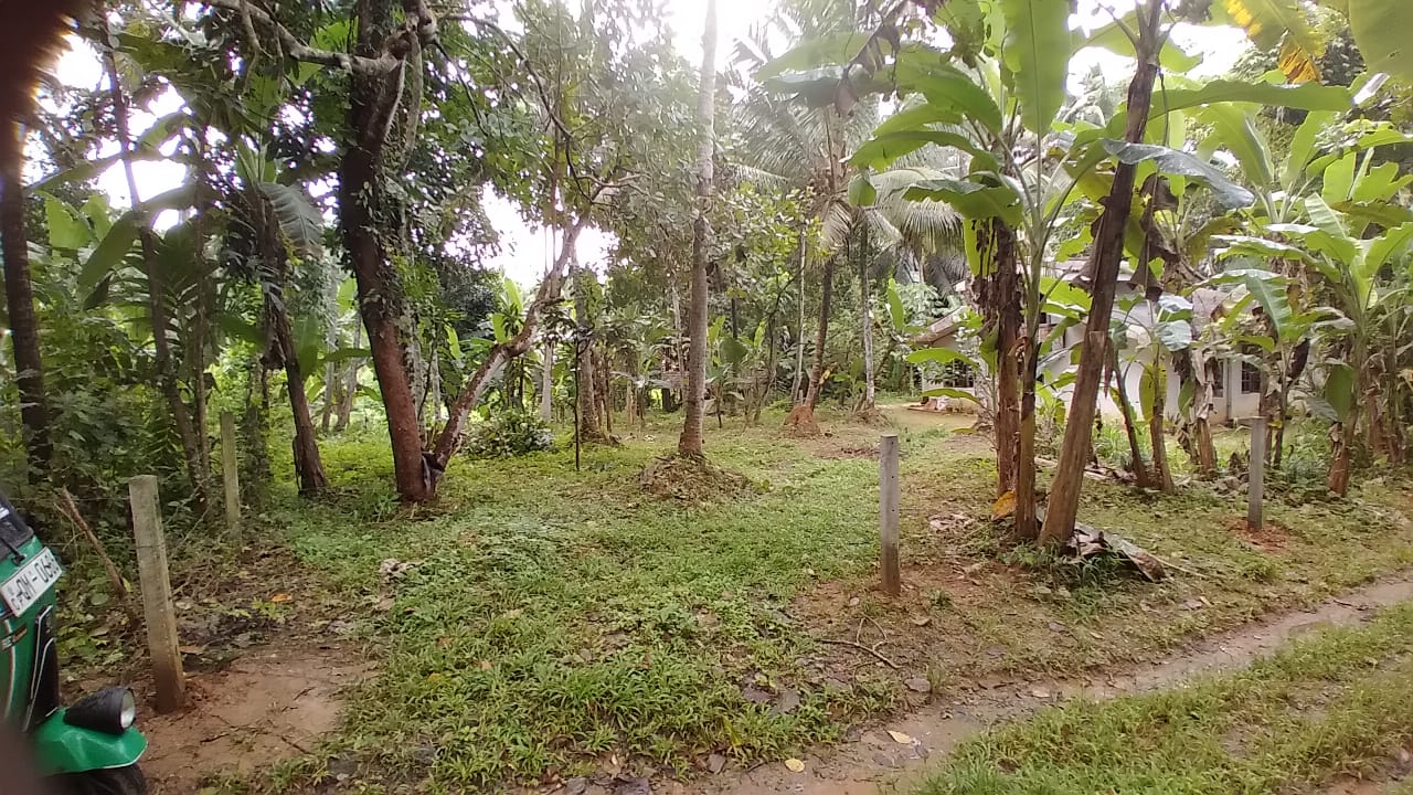 Land For Sale In Molagoda