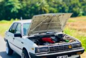 Nissan Sunny 1985