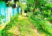 Land for Sale in Homagama