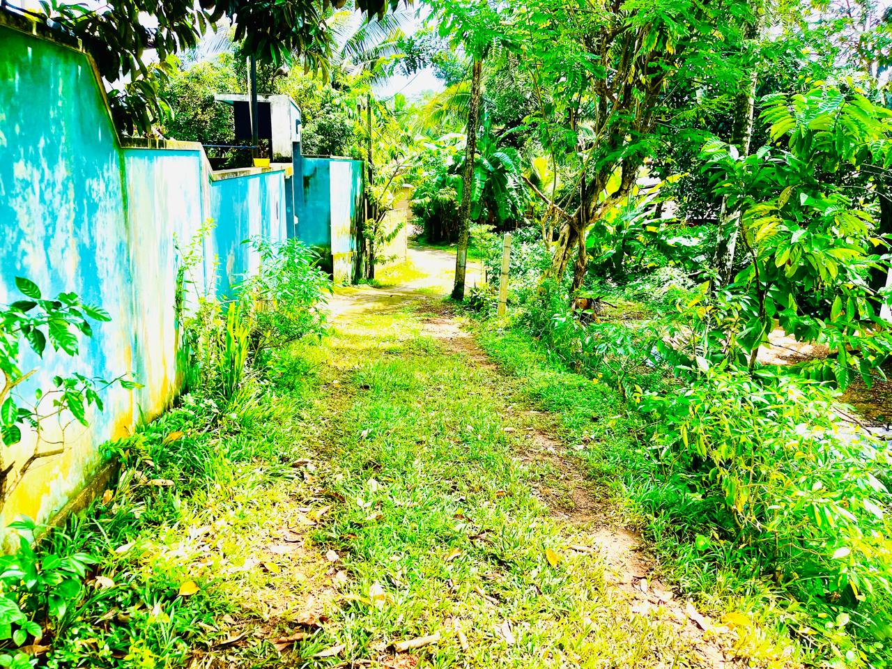 Land for Sale in Homagama