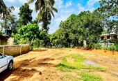 Land for Sale in Homagama