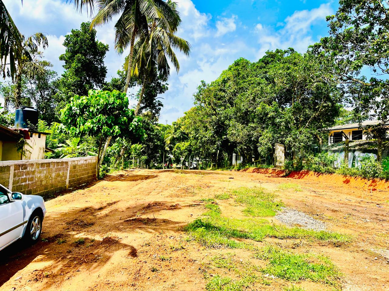 Land for Sale in Homagama