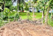Land for Sale in Homagama