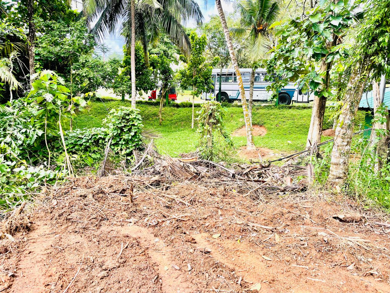 Land for Sale in Homagama