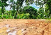 Land for Sale in Homagama