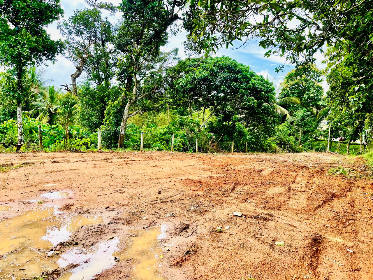 Land for Sale in Homagama