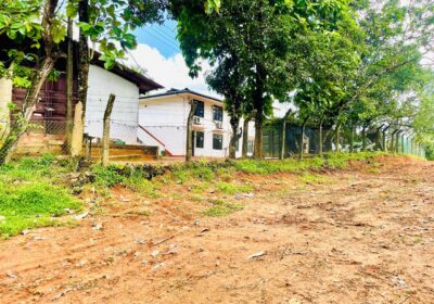 Land for Sale in Homagama