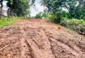Land for Sale in Homagama