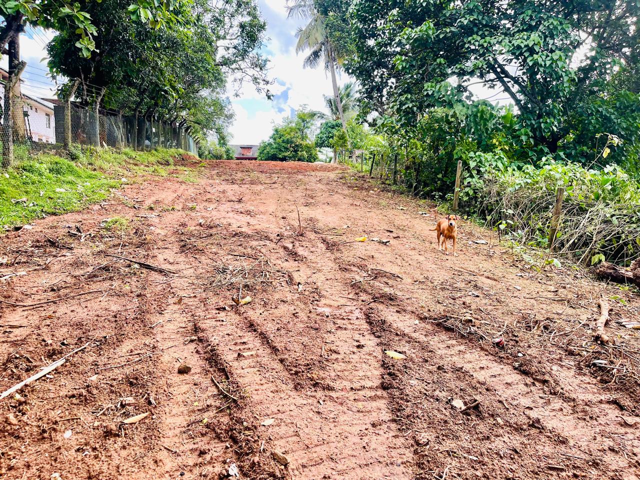 Land for Sale in Homagama