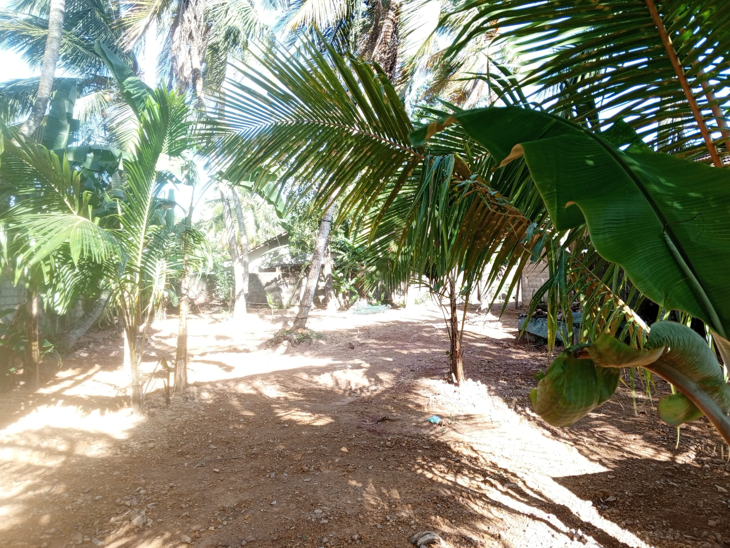 Land with House for Sale in Negambo