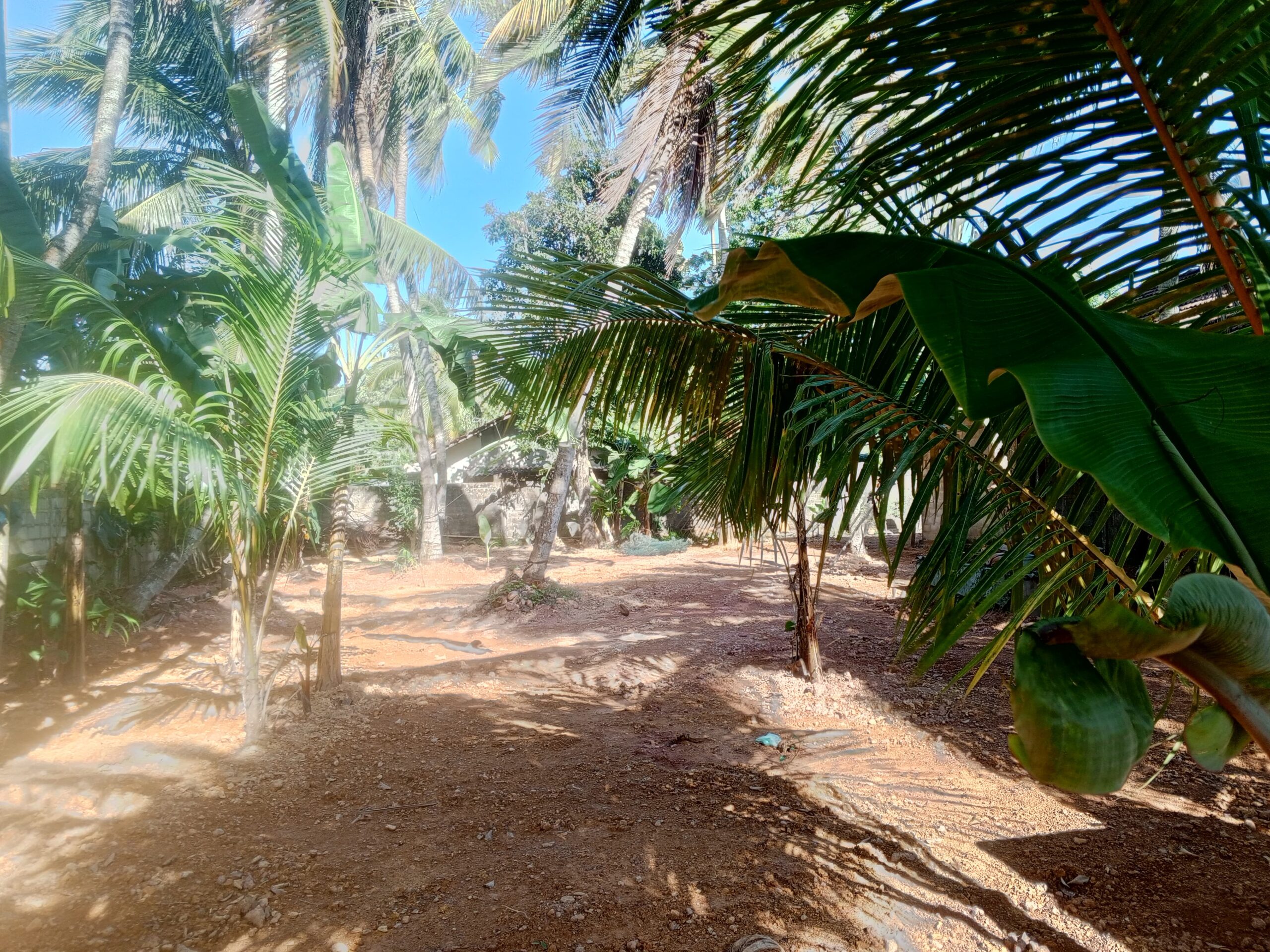 Land with House for Sale in Negambo