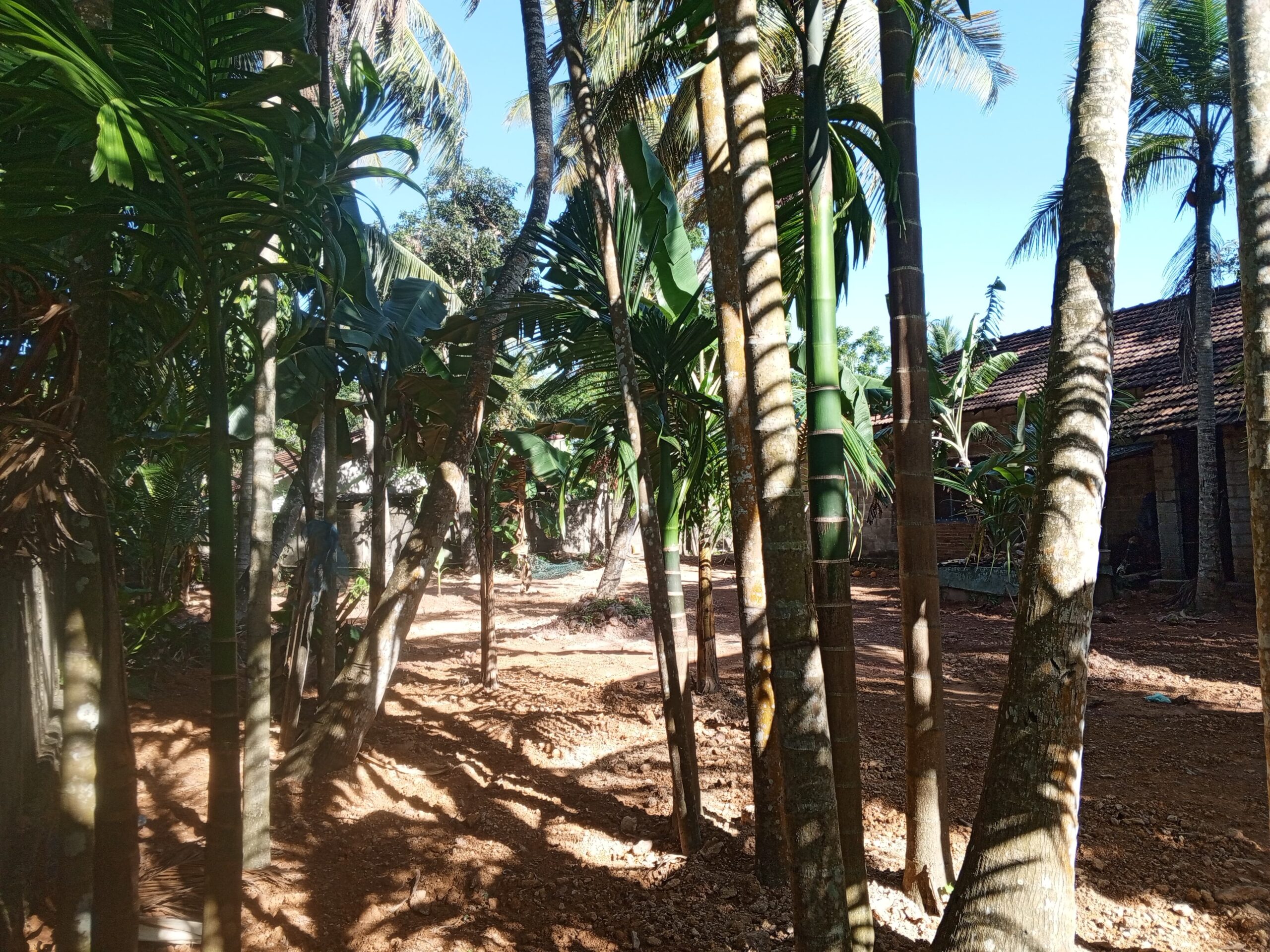 Land with House for Sale in Negambo