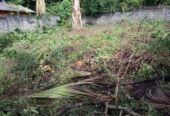 ඉඩමක් විකිනීමට – පිලියන්දල