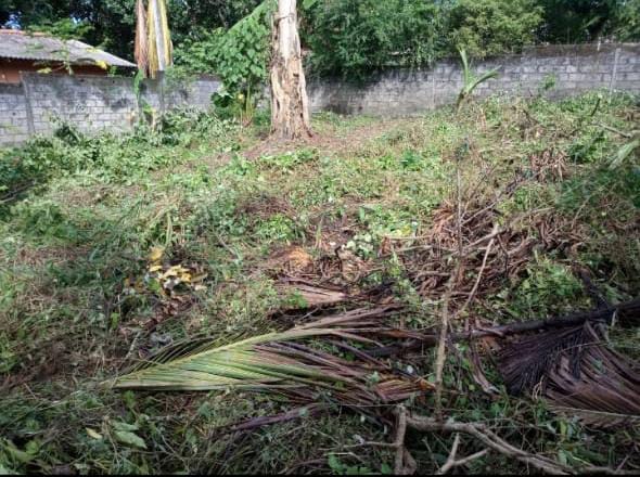 ඉඩමක් විකිනීමට – පිලියන්දල